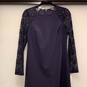 Navy Lace Sleeve Dress